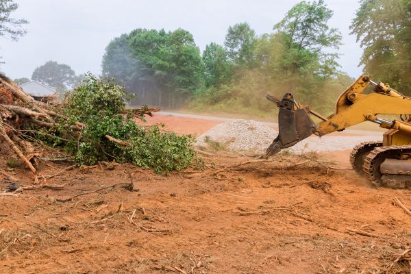 Ground Clearing in Easton