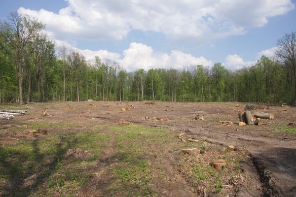 Cost of Pasture Clearing in Easton