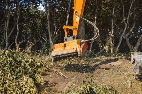 Brush Removal Service in Easton