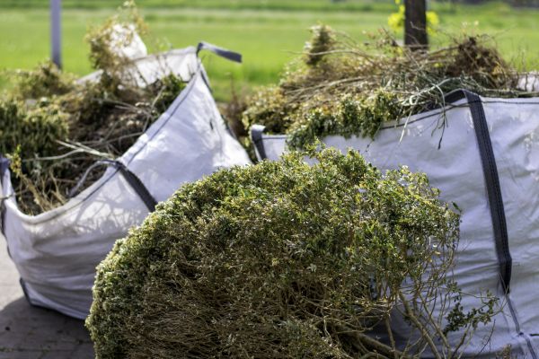 Cost of Bushes Clearing in Easton