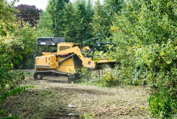 Cost of Pathway Clearing in Easton