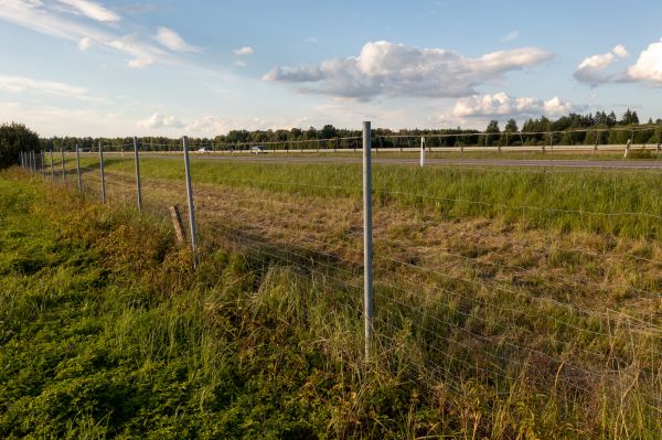 Cost of Property Line Clearing in Easton
