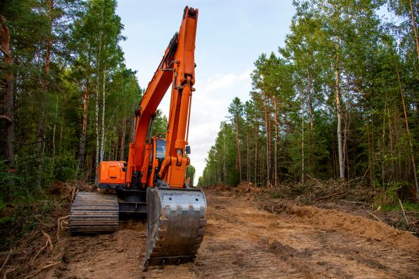 Cost of Backhoe Land Clearing in Easton