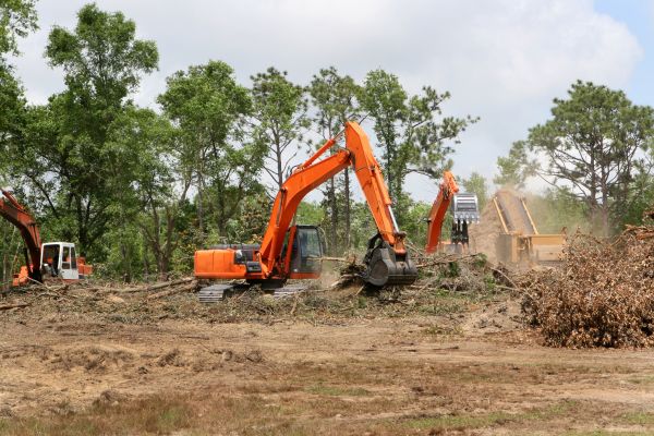 Cost of Commercial Lot Clearing in Easton