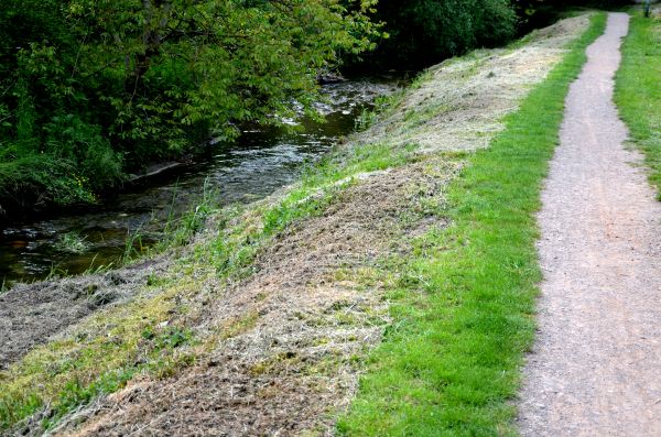 Cost of Trail Cutting in Easton